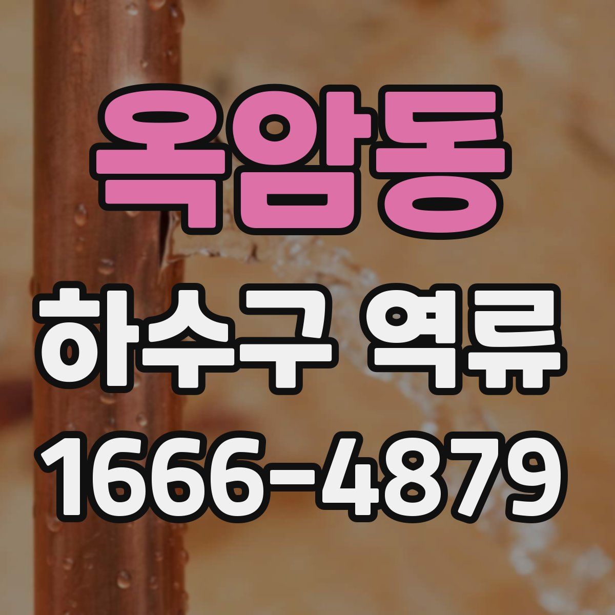 옥암동 하수구 역류