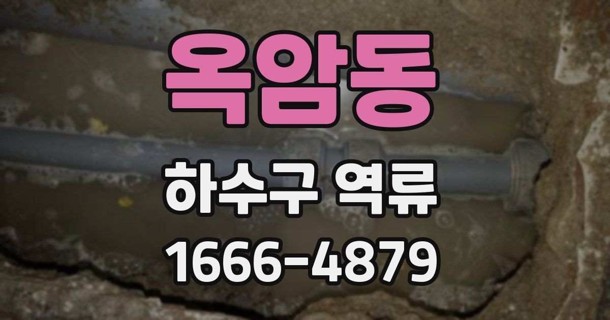 옥암동 하수구 역류