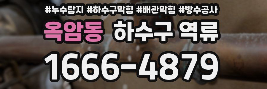 옥암동 하수구 역류