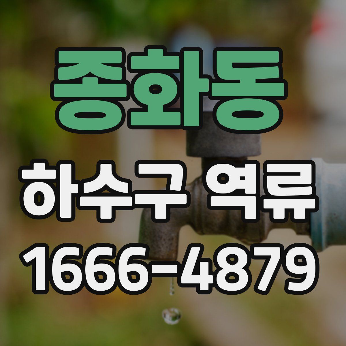 종화동 하수구 역류