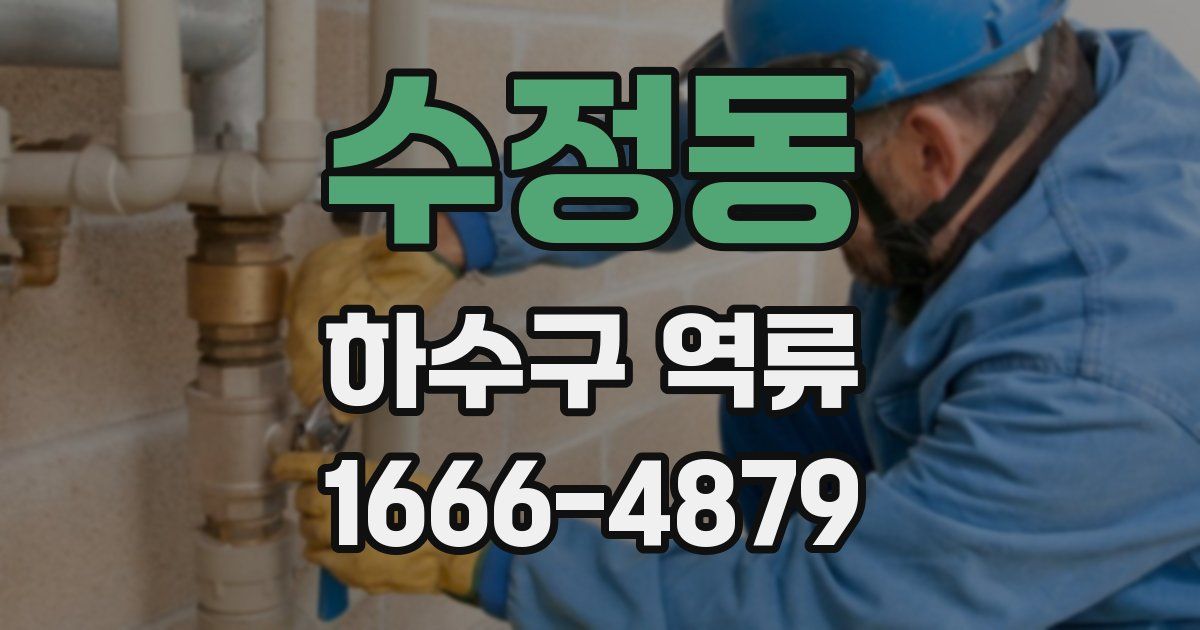 수정동 하수구 역류