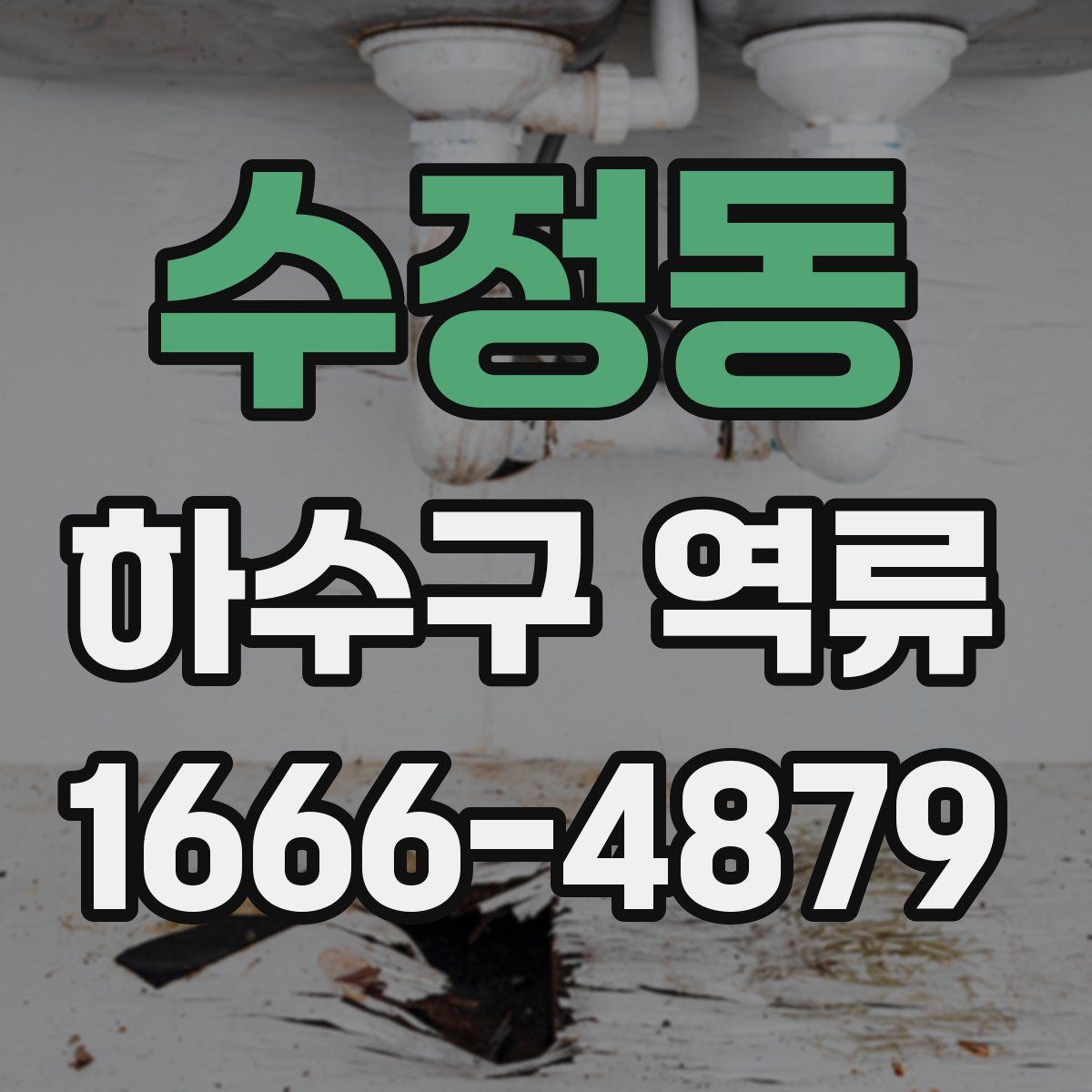 수정동 하수구 역류