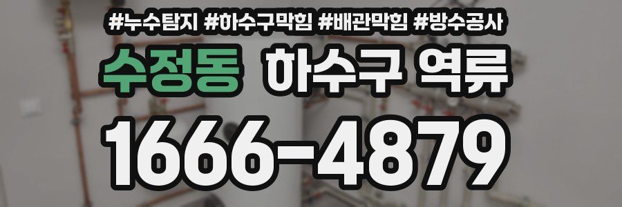수정동 하수구 역류