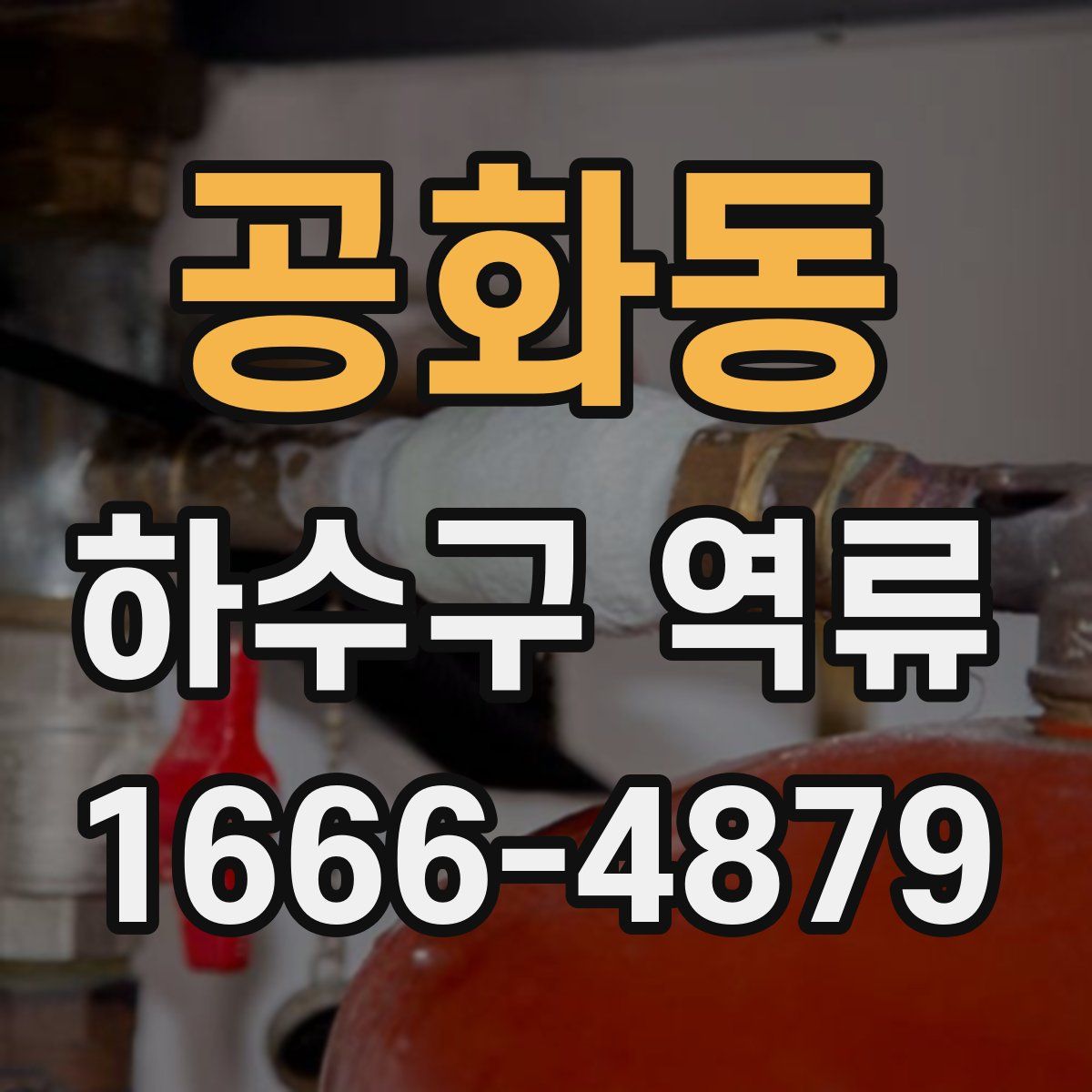 공화동 하수구 역류