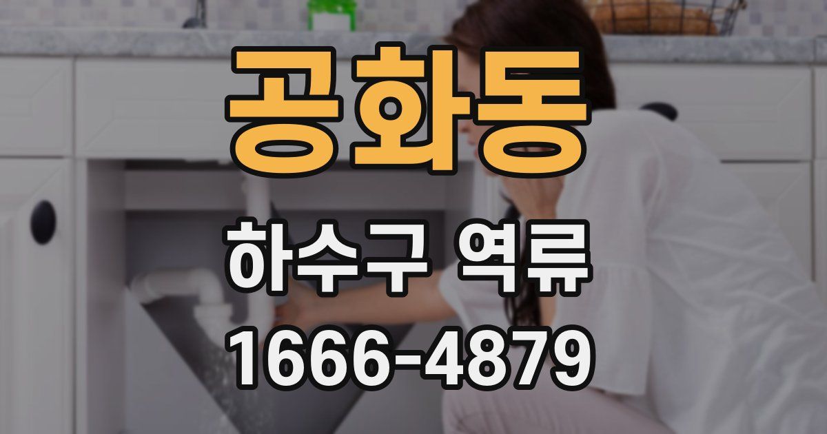 공화동 하수구 역류