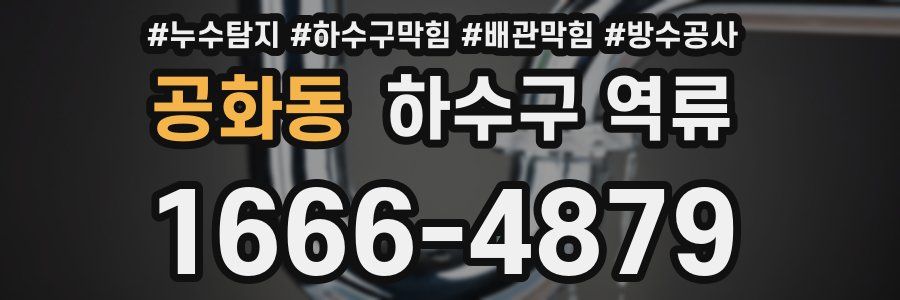 공화동 하수구 역류