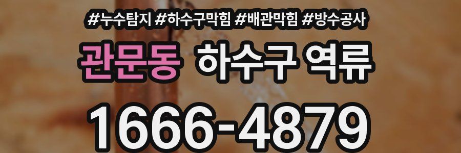관문동 하수구 역류