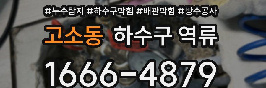 고소동 하수구 역류
