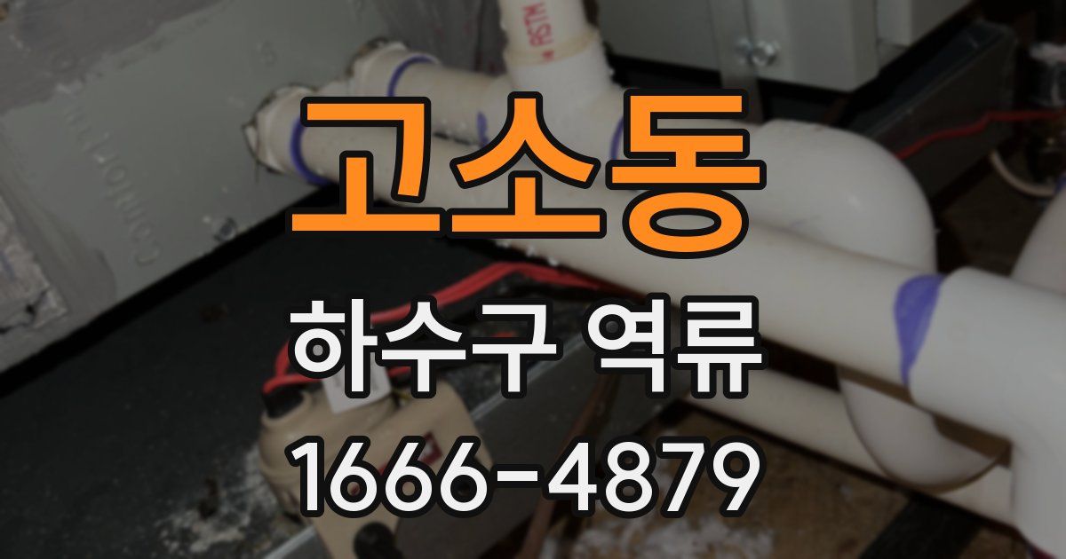 고소동 하수구 역류