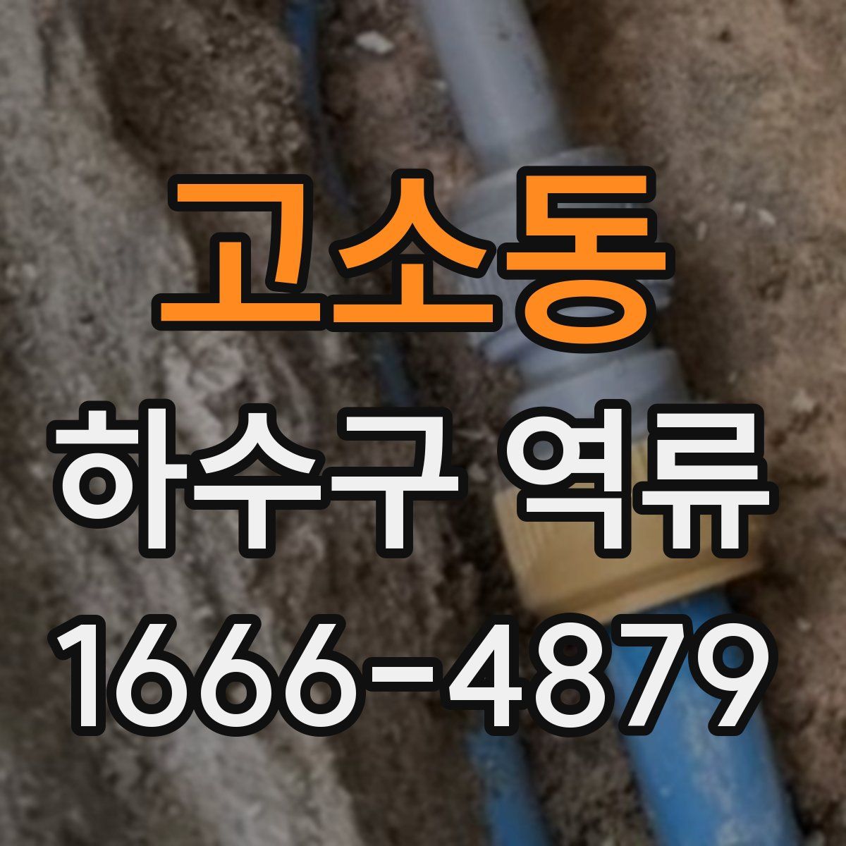 고소동 하수구 역류