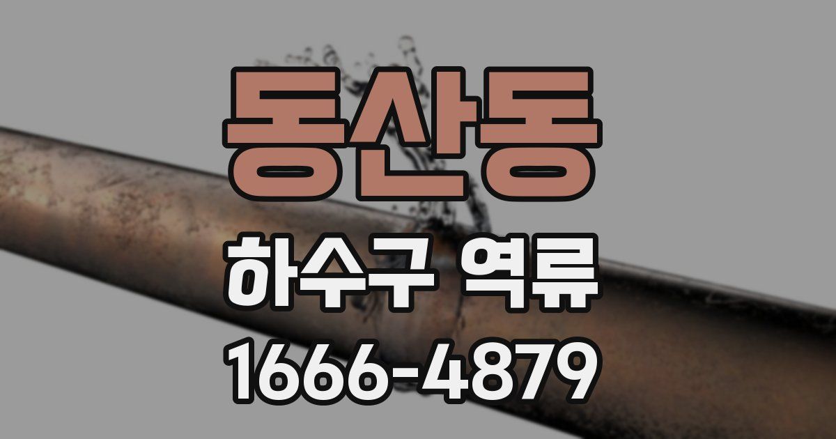 동산동 하수구 역류