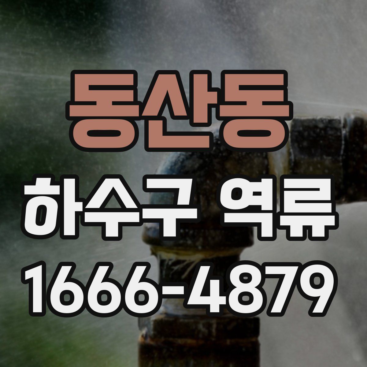 동산동 하수구 역류