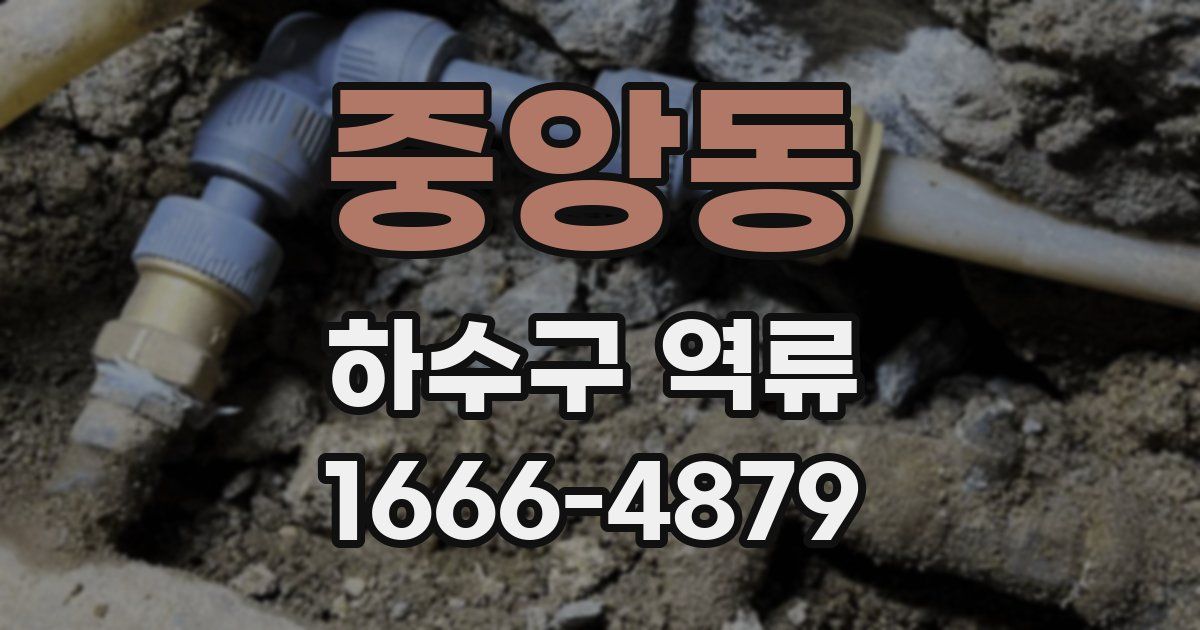중앙동 하수구 역류