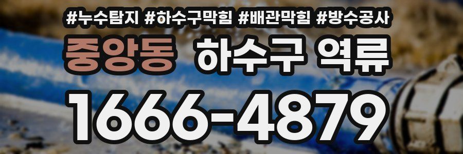 중앙동 하수구 역류
