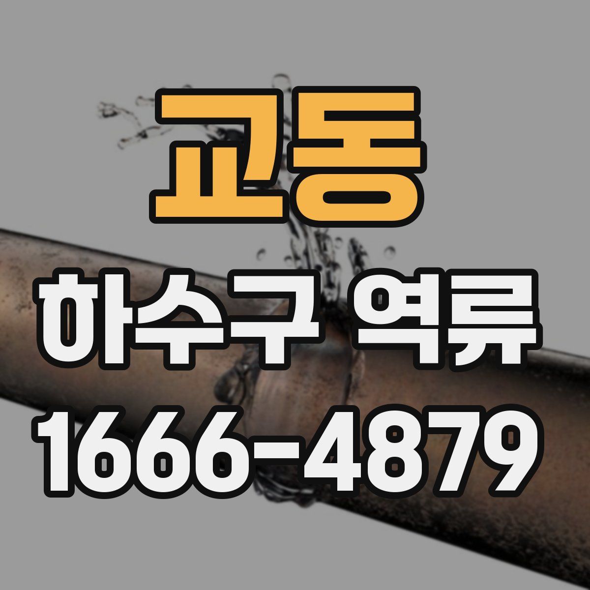 교동 하수구 역류