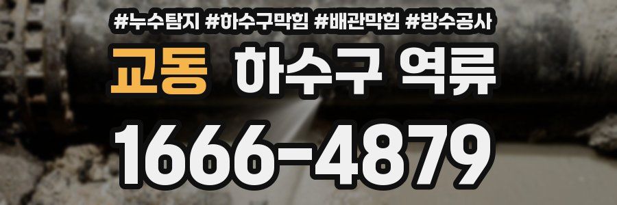 교동 하수구 역류