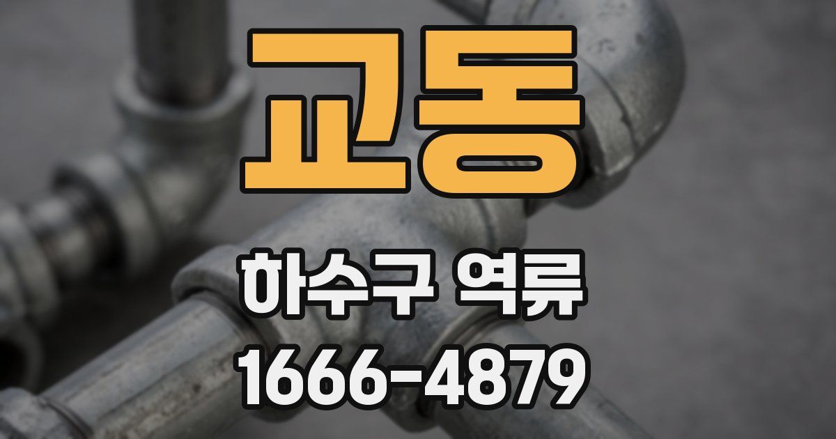 교동 하수구 역류