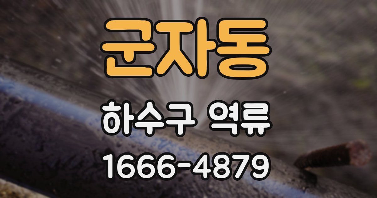 군자동 하수구 역류