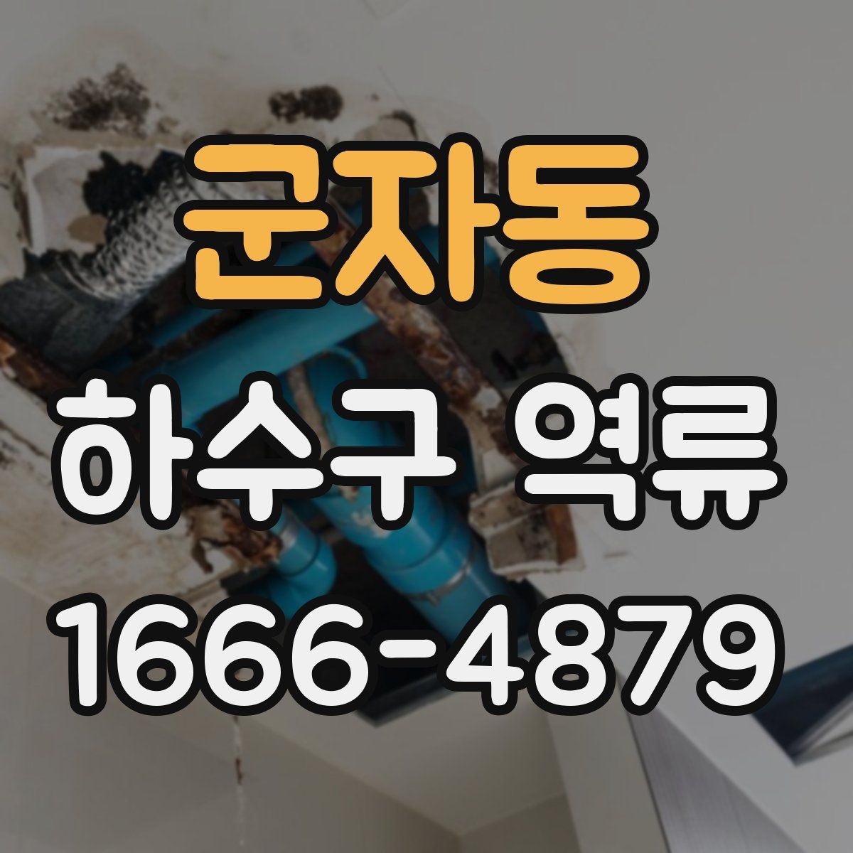군자동 하수구 역류
