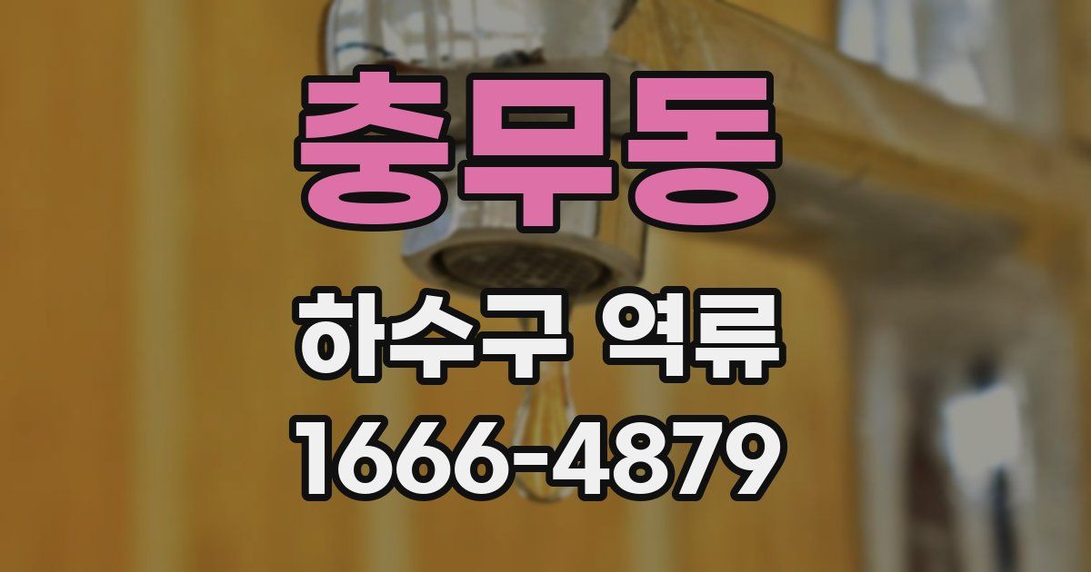 충무동 하수구 역류