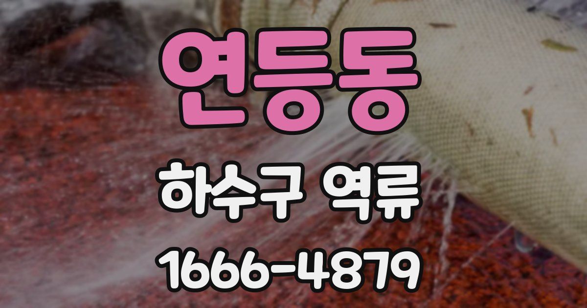 연등동 하수구 역류