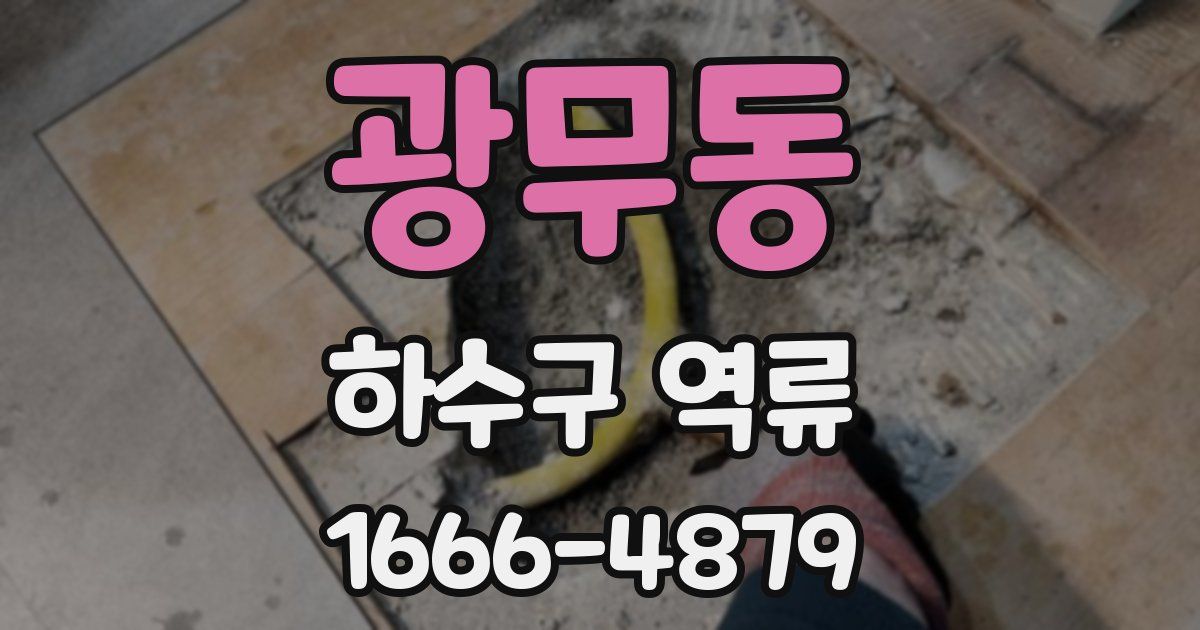 광무동 하수구 역류