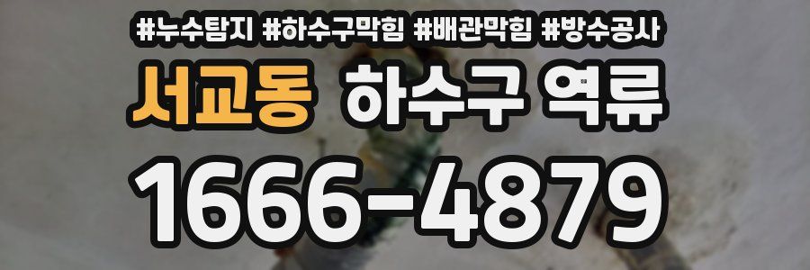 서교동 하수구 역류