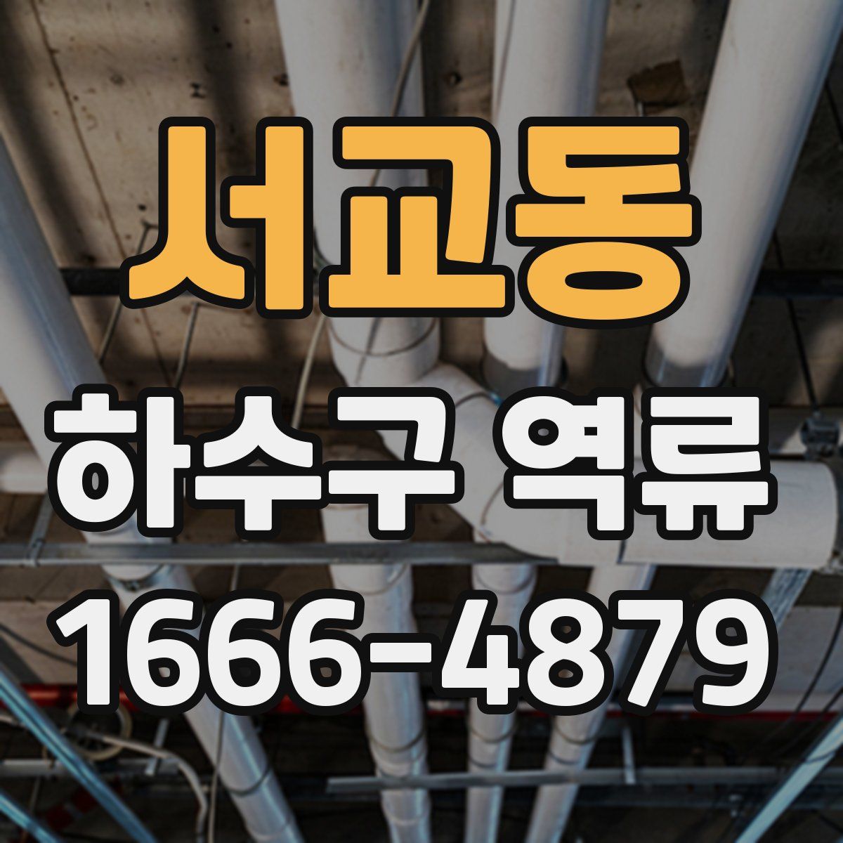 서교동 하수구 역류