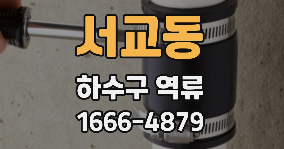 서교동 하수구 역류