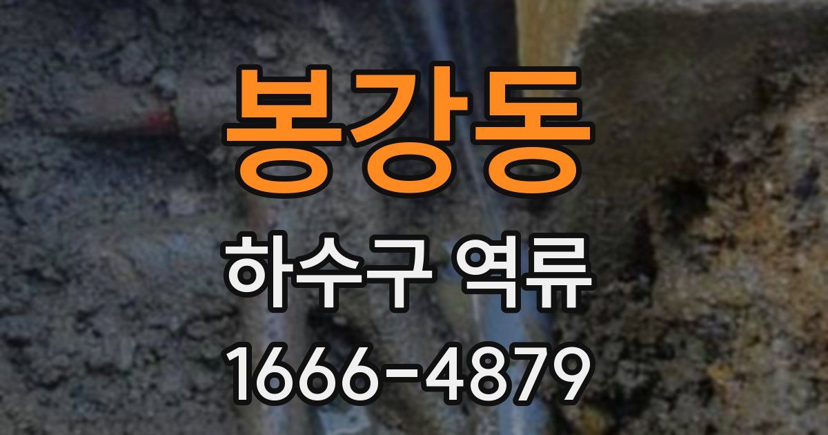 봉강동 하수구 역류