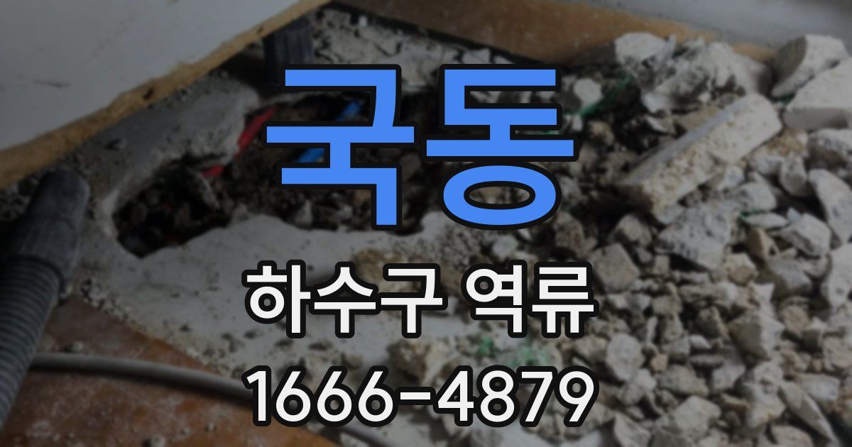 국동 하수구 역류