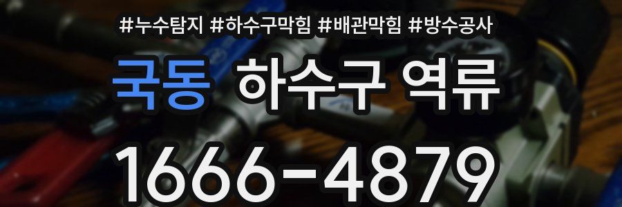 국동 하수구 역류