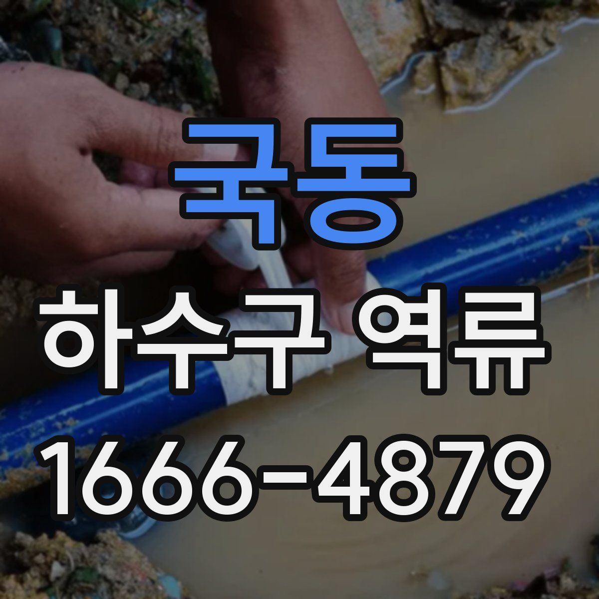국동 하수구 역류