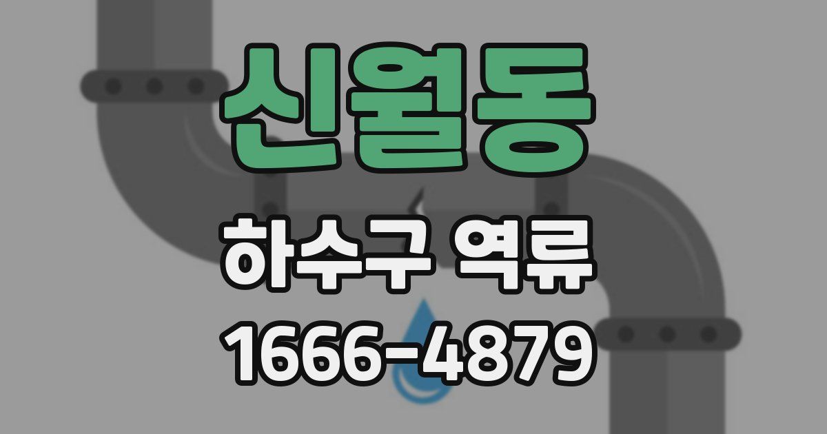 신월동 하수구 역류