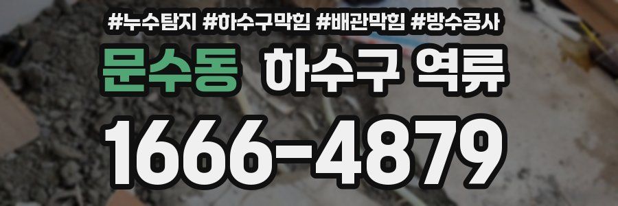 문수동 하수구 역류