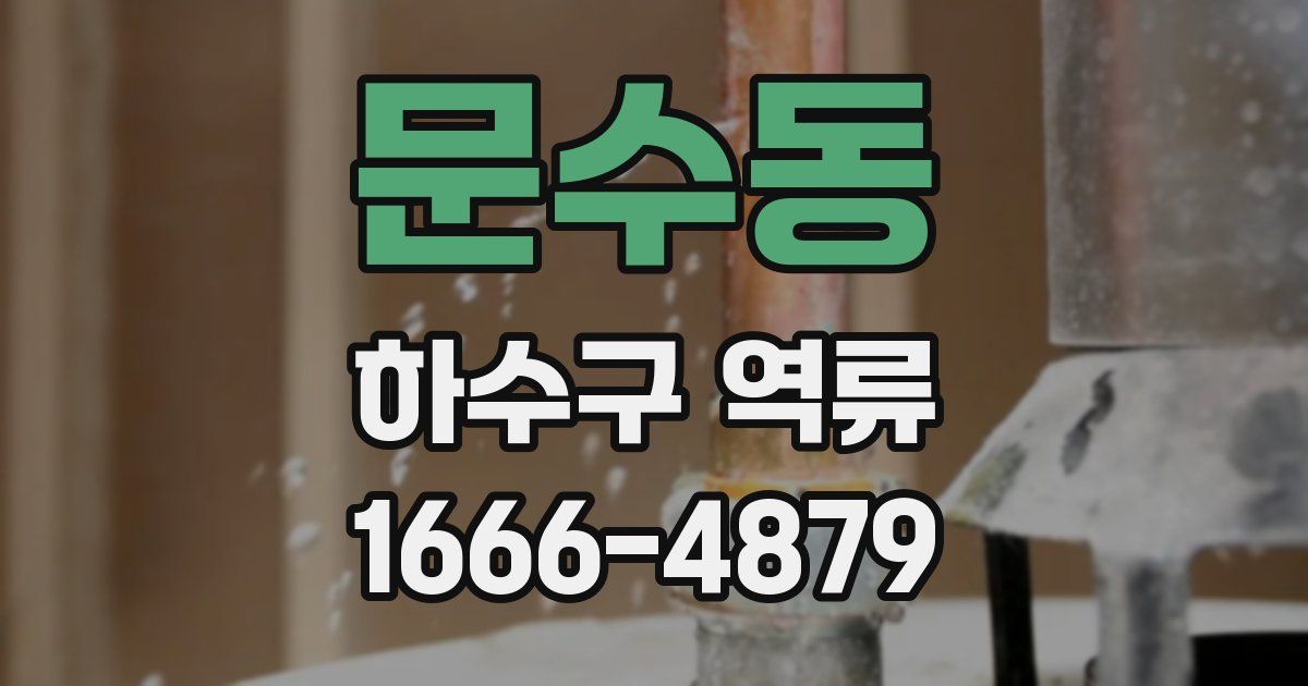문수동 하수구 역류