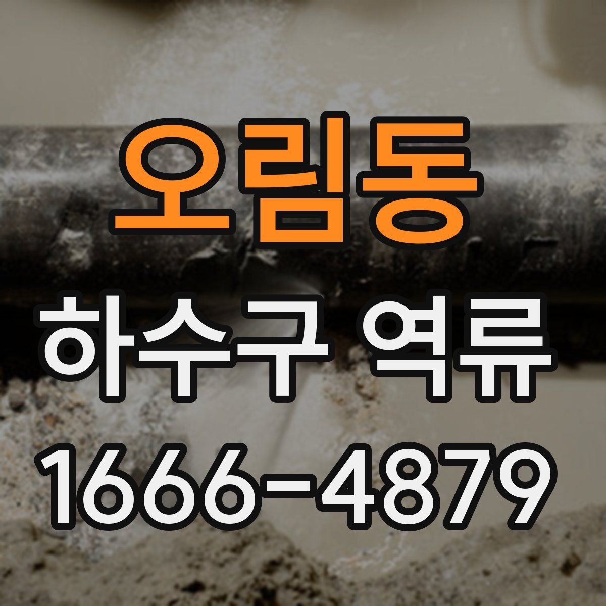 오림동 하수구 역류