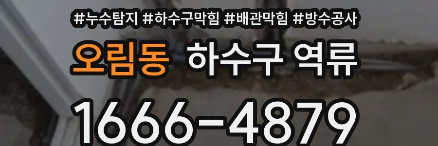 오림동 하수구 역류