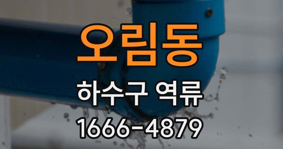 오림동 하수구 역류