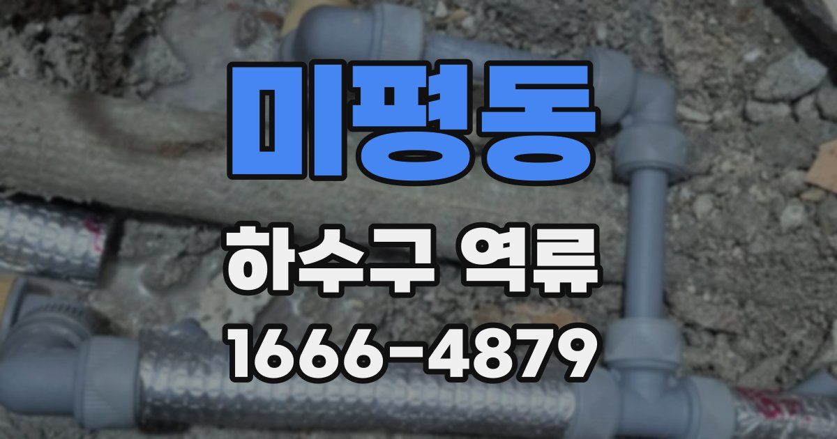 미평동 하수구 역류