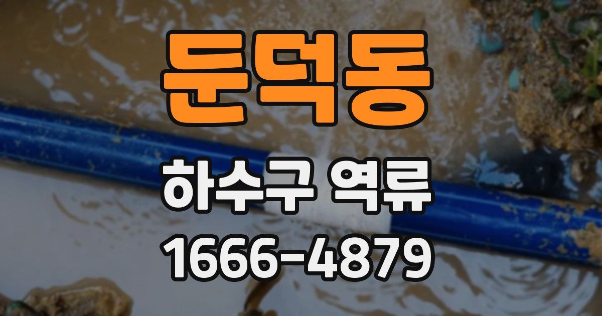 둔덕동 하수구 역류