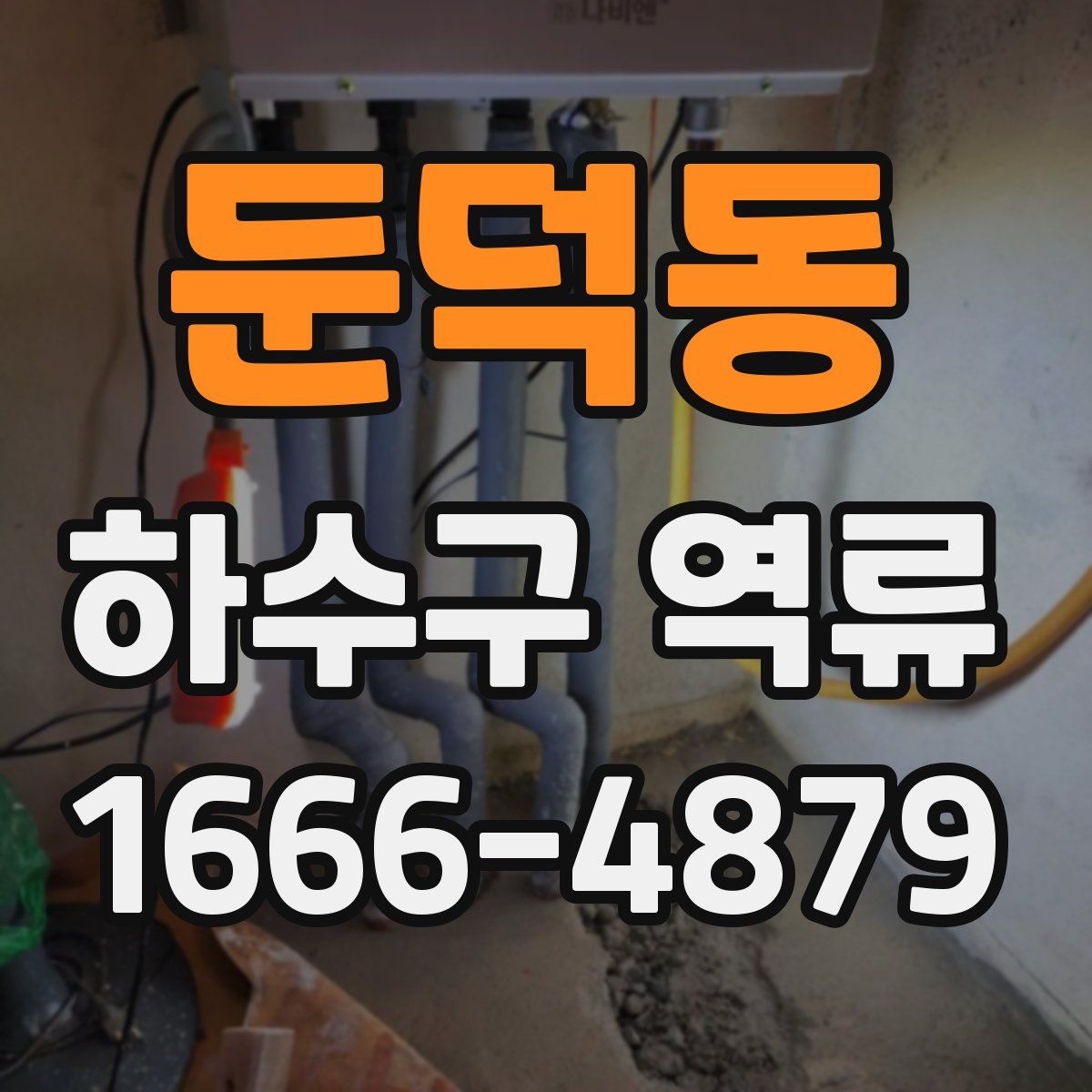 둔덕동 하수구 역류