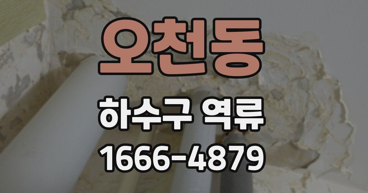 오천동 하수구 역류