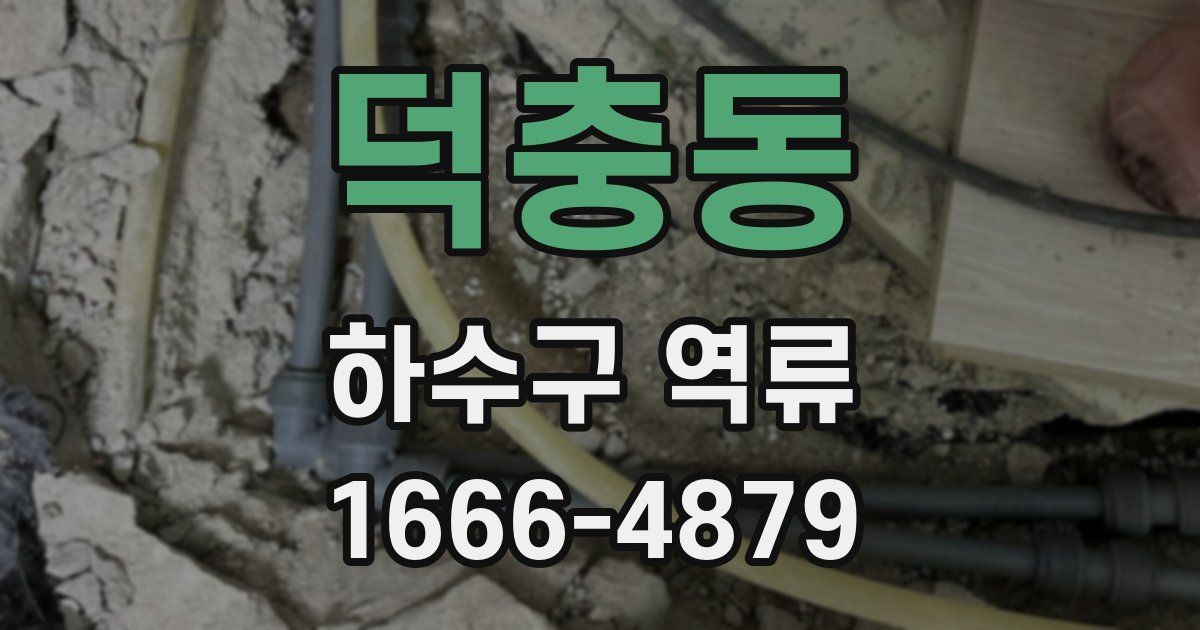 덕충동 하수구 역류