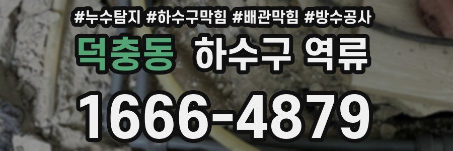 덕충동 하수구 역류