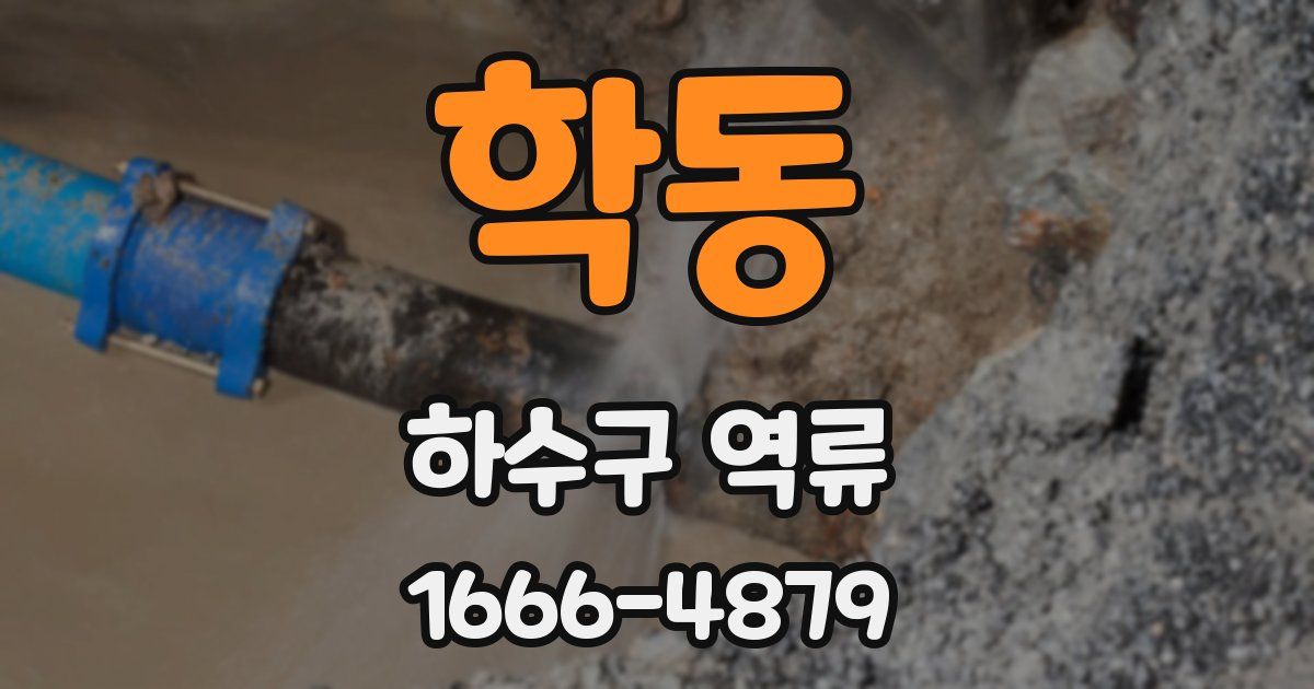 학동 하수구 역류