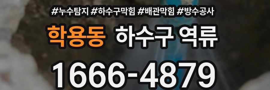 학용동 하수구 역류