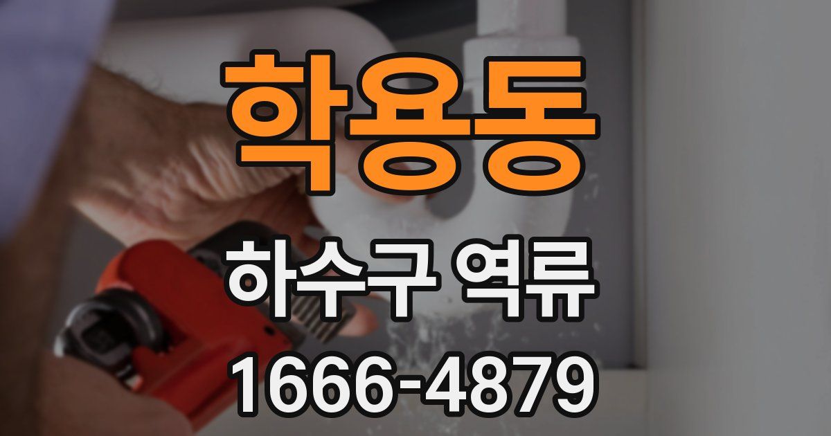 학용동 하수구 역류