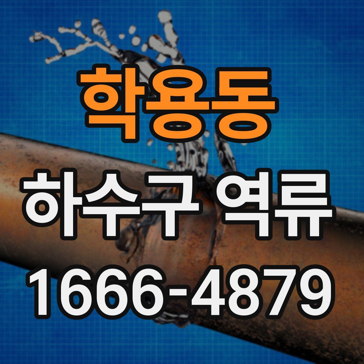 학용동 하수구 역류