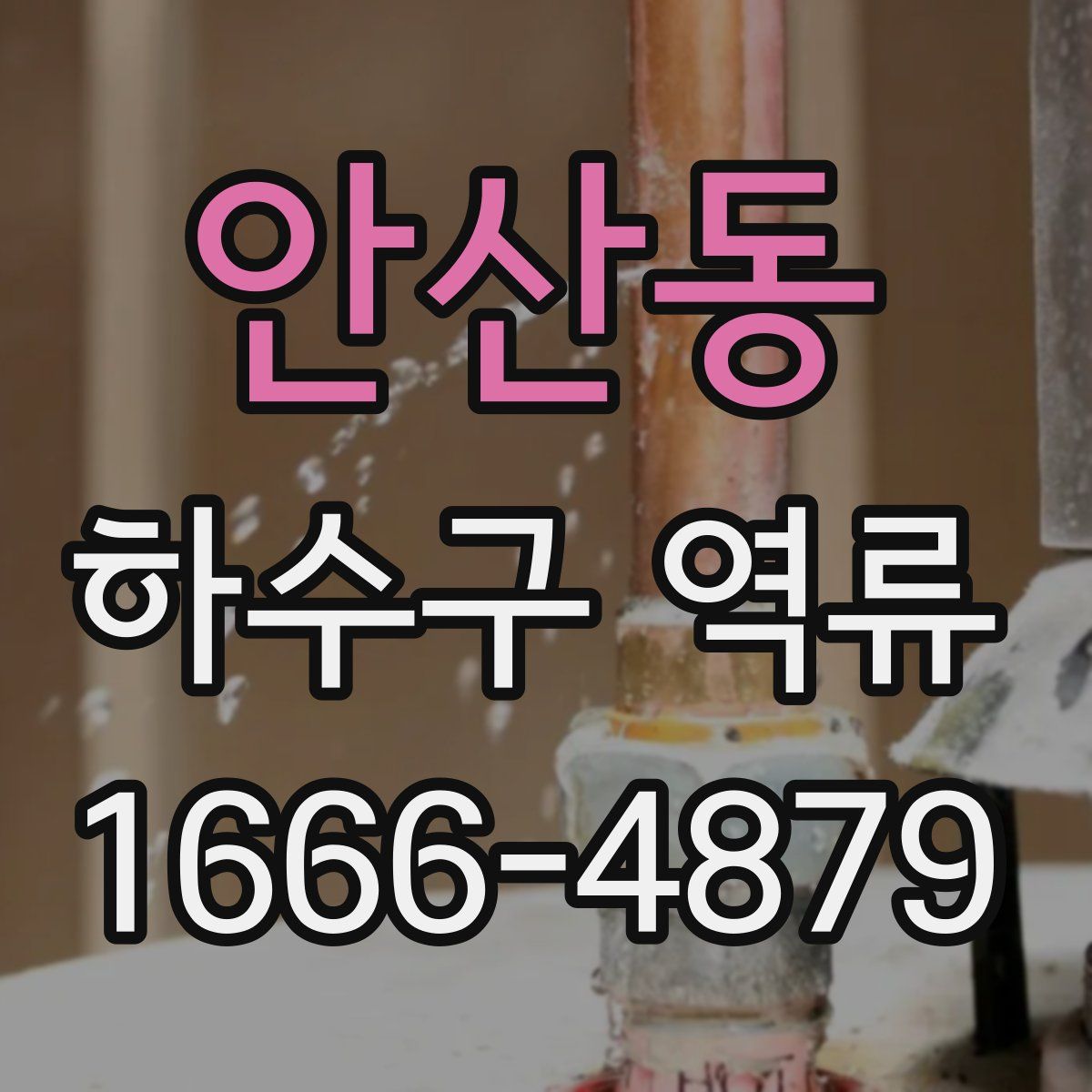 안산동 하수구 역류